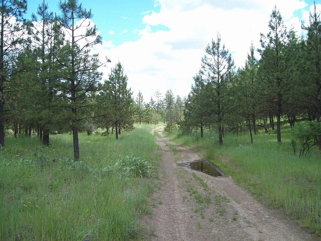A trail near the Bowl and Pitcher area of Riverside State Park.