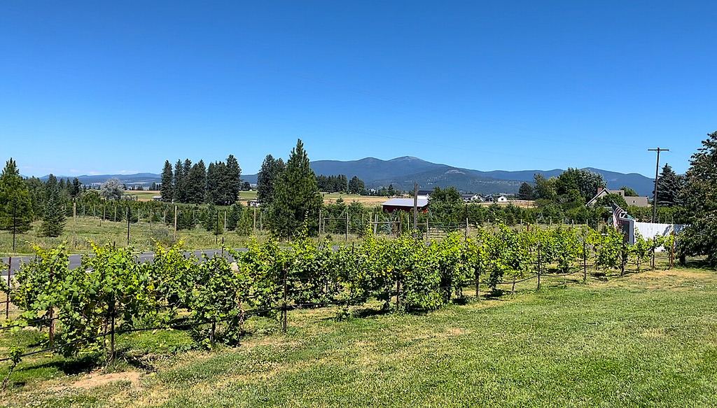 Green Bluff Farms